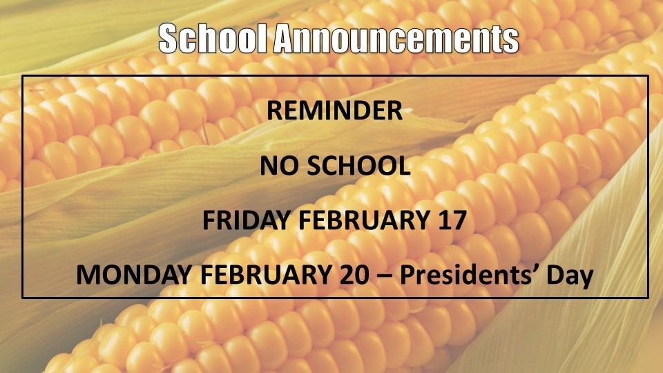 no school